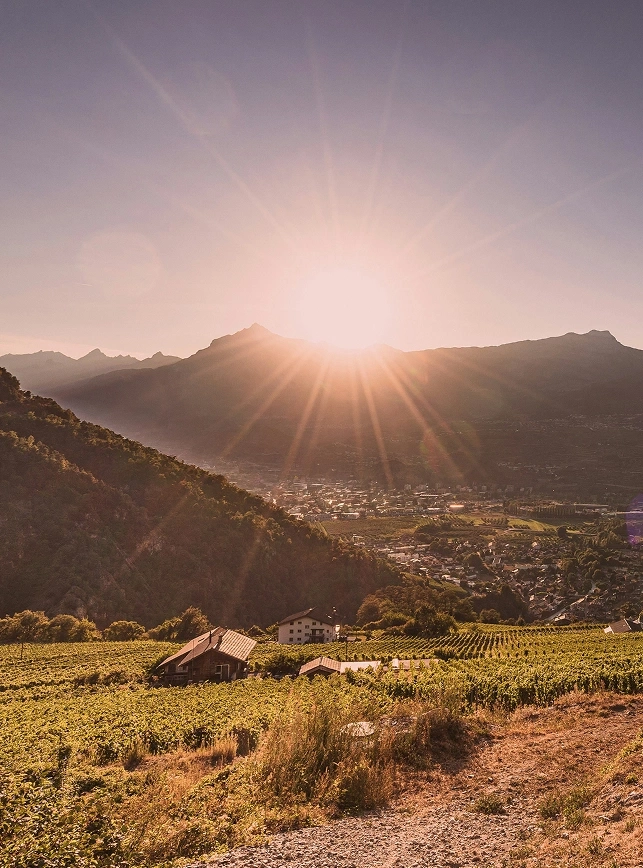 Sunrise over vineyards and a village in the mountains.