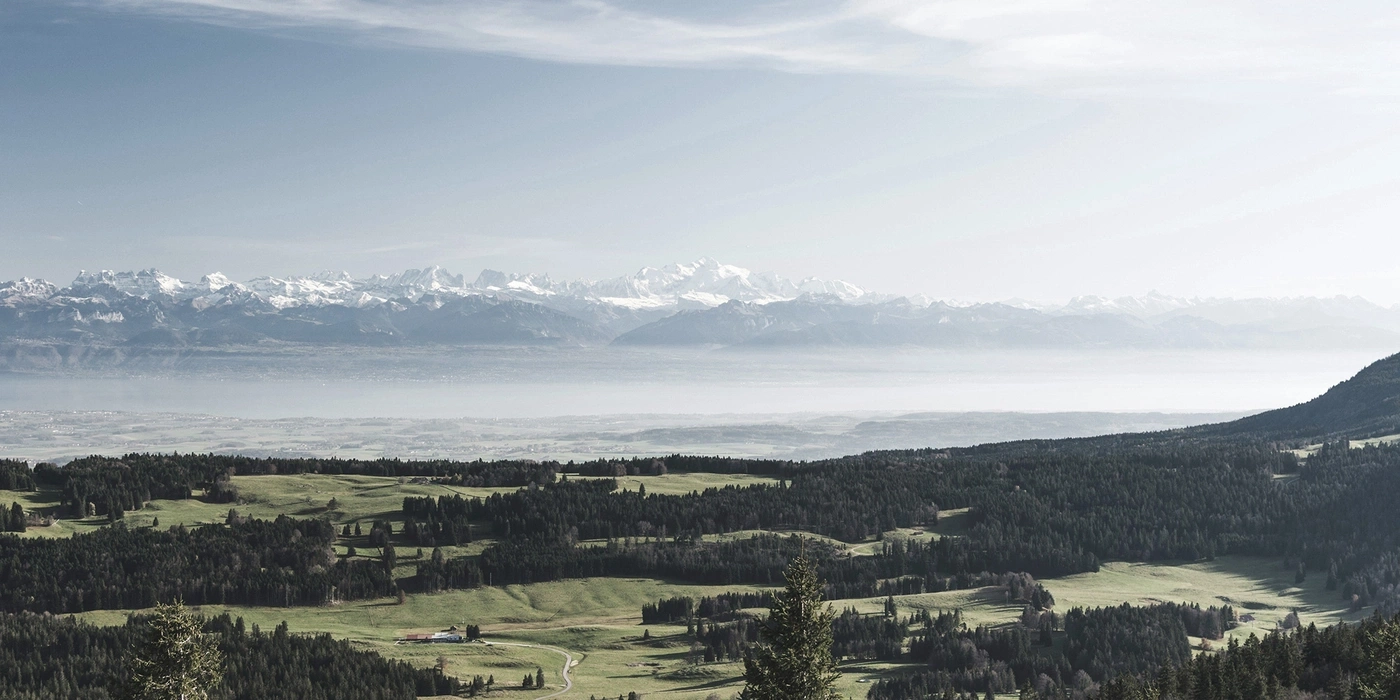 Snowy mountains and green hills with forests in the distance.