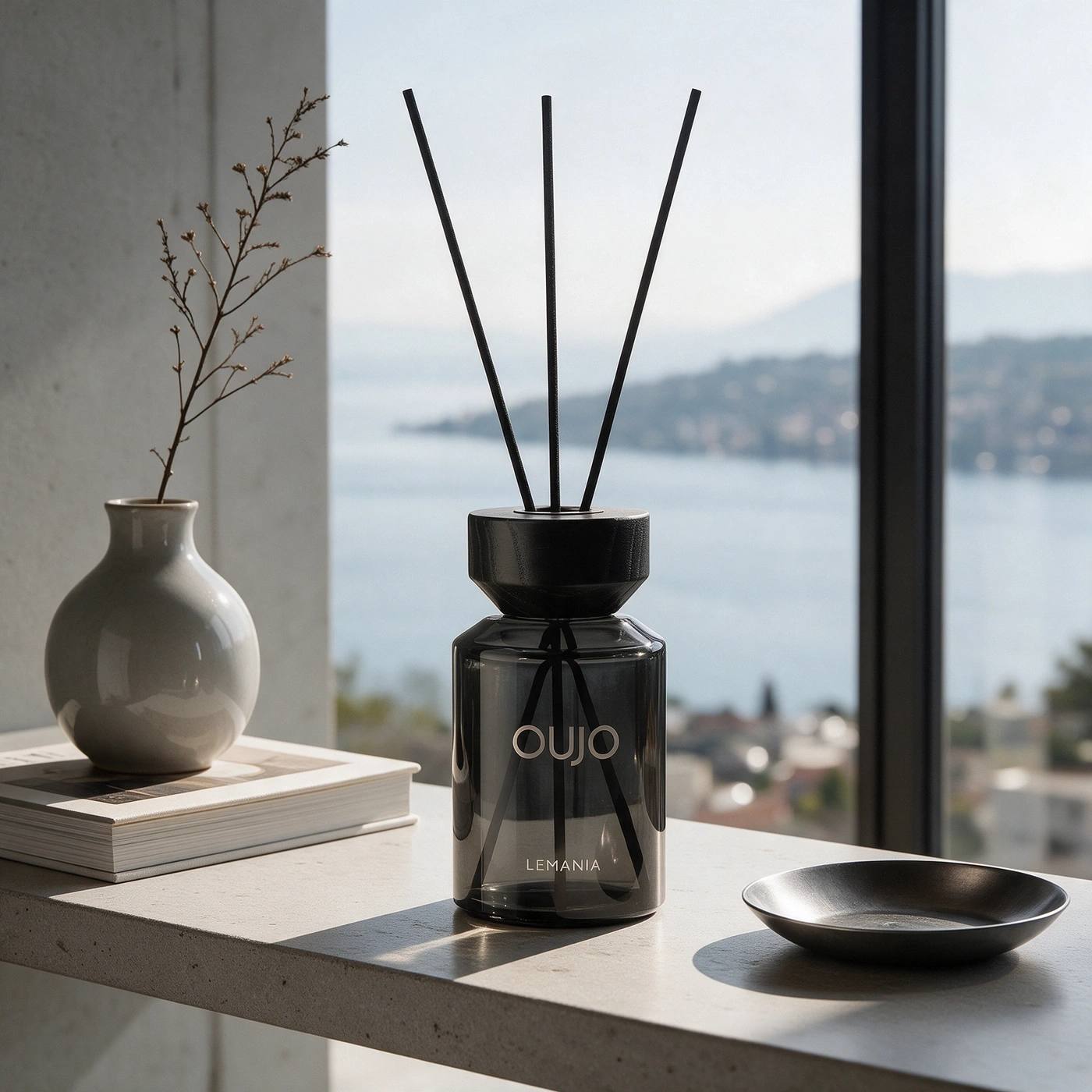 A diffuser and vase on a ledge overlooking water.